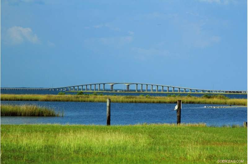 Storms Reshape Barrier Island Marine Ecosystems