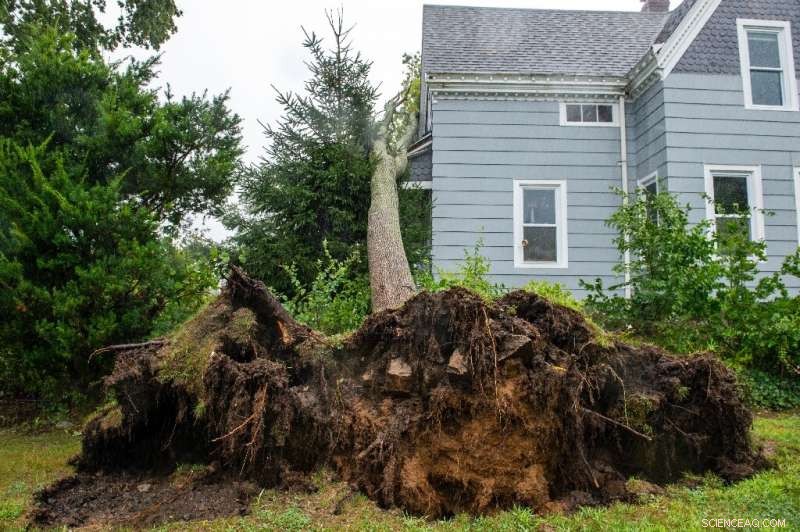 Tropical Storm Henri Strikes Northeastern U.S., Causing Widespread Power Outages