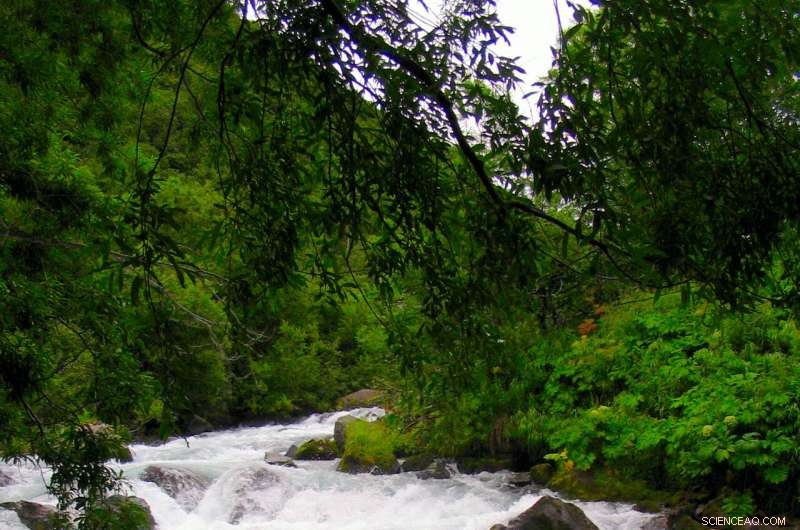 How Volcanoes Served as Earth s Climate Safety Valve