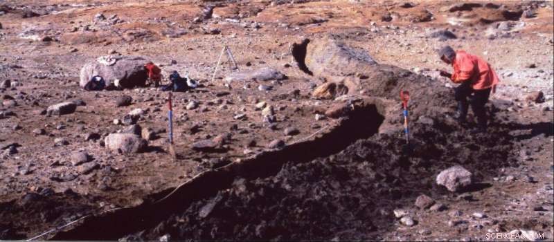 How Past Antarctic Ice Sheet Changes Inform Climate Futures