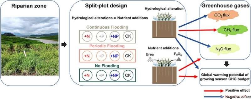 How Hydrological Changes and Nutrient Inputs Drive Greenhouse Gas Emissions