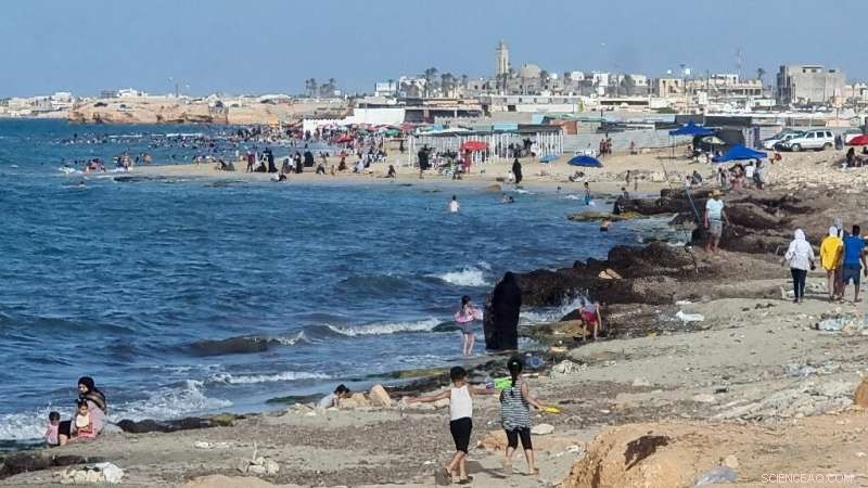 Severe Pollution Plagues Libya s Beaches, Threatening Public Health