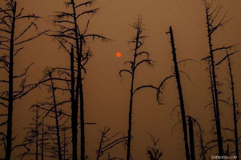 Russia s Central Regions Face Intense Wildfires Amid Unusual Heatwave