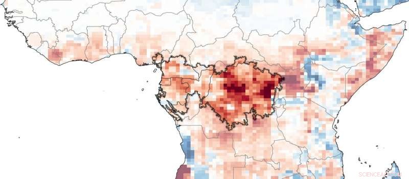 How the Congo Rainforest Generates Its Own Spring Rain