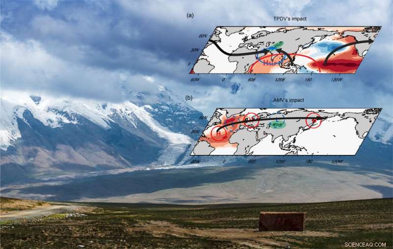 How Tropical Pacific and North Atlantic Sea Surface Temperatures Drive Central Asian Rainfall