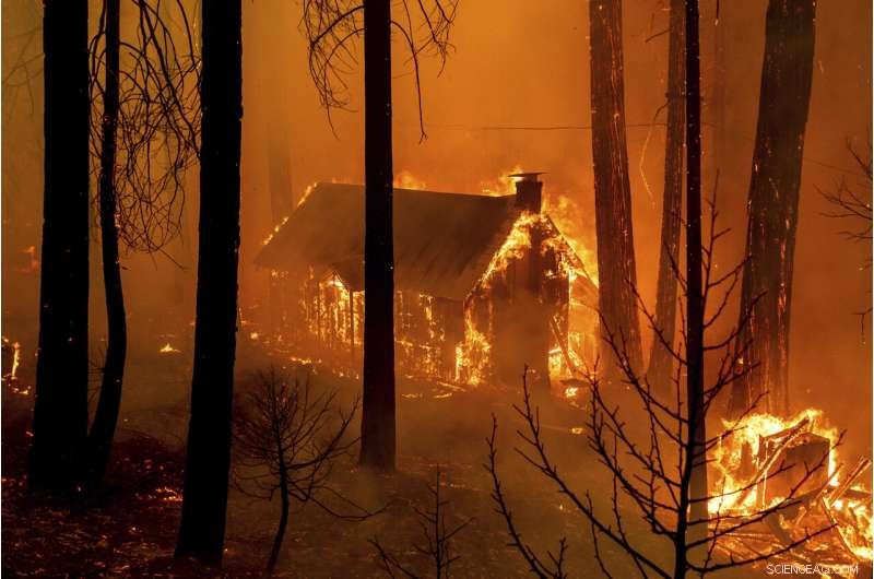California s Shifting Winds Intensify Ongoing Wildfire Struggles