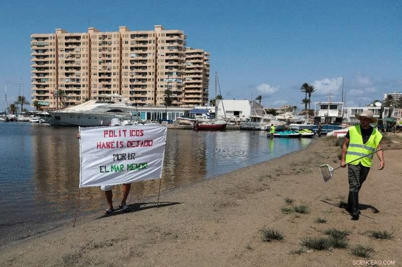 Mar Menor Lagoon Loses Thousands of Fish Amid Growing Agricultural Pollution