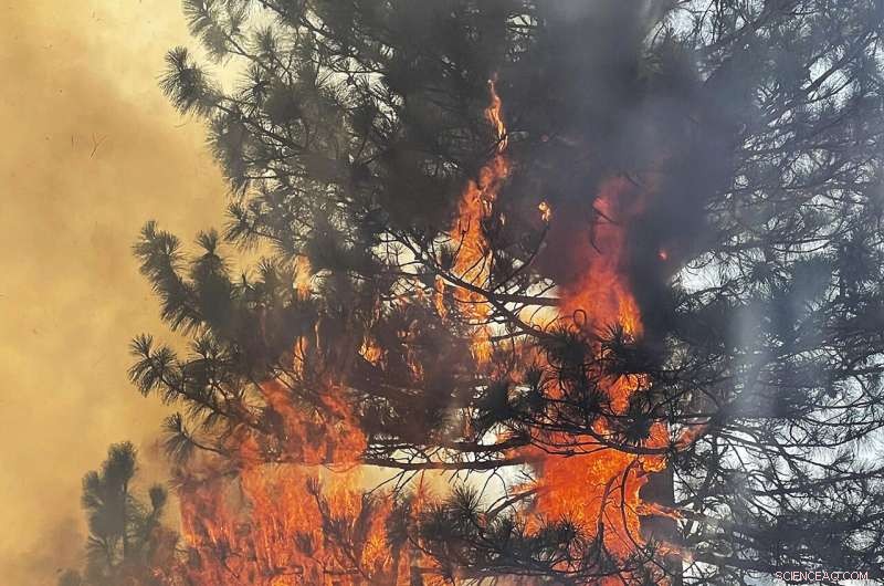 California Wildfires Threaten Southern Regions: Rising Risks and Response Measures