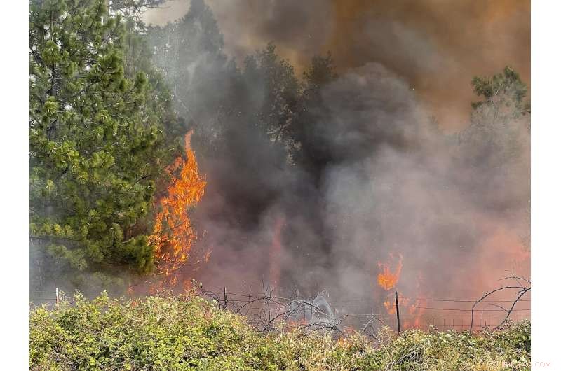 California Wildfires Threaten Southern Regions: Rising Risks and Response Measures