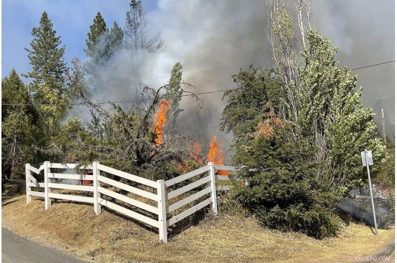 California Wildfires Threaten Southern Regions: Rising Risks and Response Measures