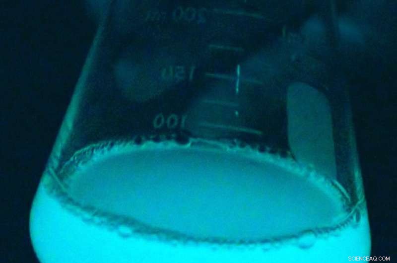 Scientists Deploy Advanced Satellite Technology to Detect Milky Seas of Maritime Legends