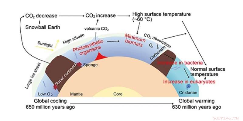Bacterial Bloom Signals Earth s Thawing After the Snowball Era