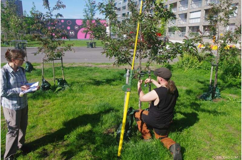 New Carbon Neutrality Policy Brief Guides Municipalities Worldwide