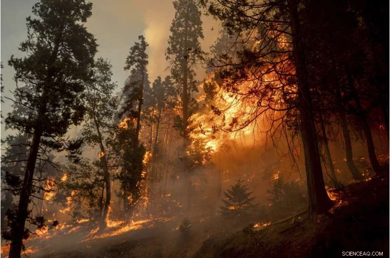 Lake Tahoe Readies Emergency Response Amid Rising Wildfire Threat