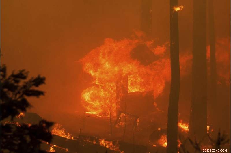 Lake Tahoe Readies Emergency Response Amid Rising Wildfire Threat