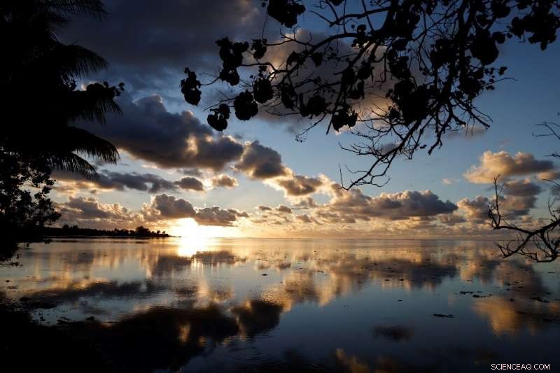 Study Warns Ocean Surface Climates Could Vanish by 2100 Without Emission Controls