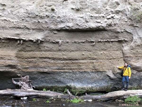 New Zealand Fossils Reveal Species Diversity Linked to Warm Waters—Future Warming Threatens the Pattern