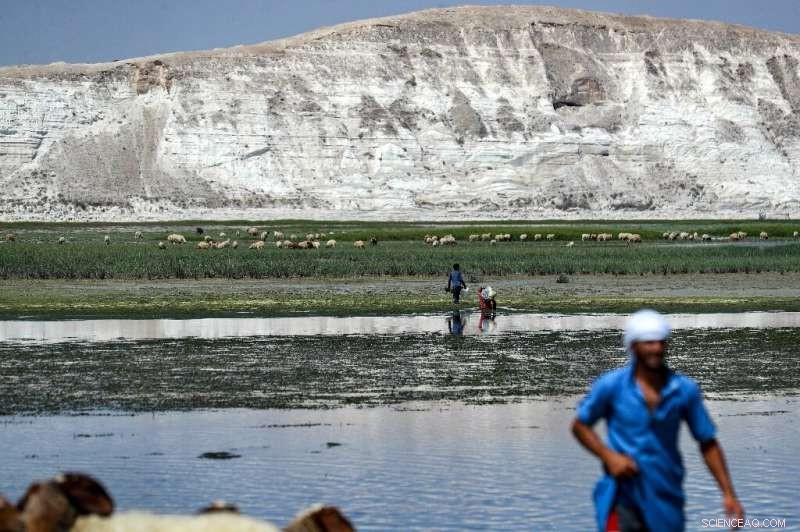 Euphrates Drought Threatens Humanitarian Crisis in Syria