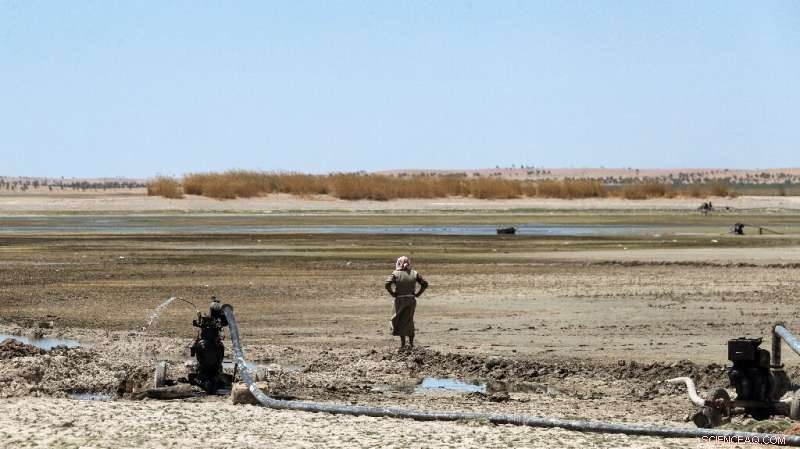 Euphrates Drought Threatens Humanitarian Crisis in Syria