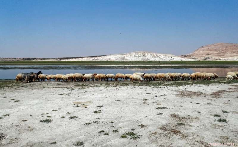 Euphrates Drought Threatens Humanitarian Crisis in Syria