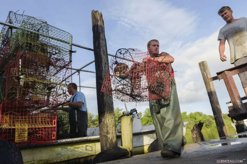 Hurricane Ida Expected to Intensify as It Approaches Louisiana