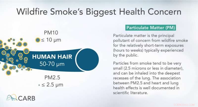 Wildfire Smoke Exposure Impacts Brain, Reproductive Health, and Lungs: What You Need to Know