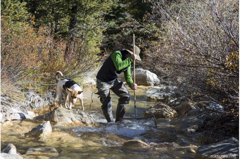 Rare Earth Elements & Legacy Mines Threaten Western U.S. Water Supplies