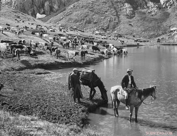 Lake Sediment Analysis Confirms Climate Change Drives Bushfire Frequency in Australian Alps