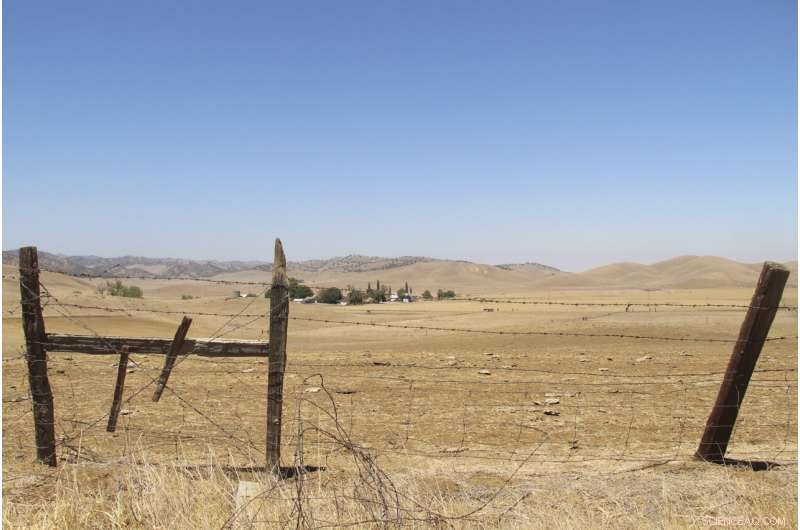 California Stalls Water Projects Amid Persistent Drought