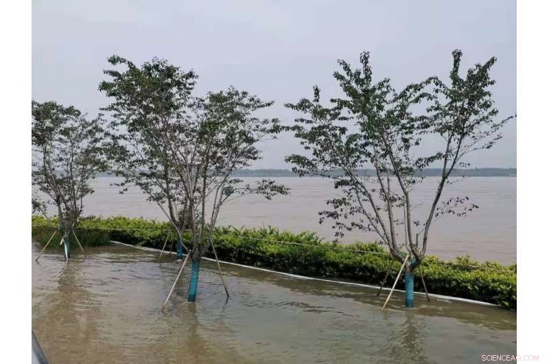 Predicting Climate Anomalies: A Genuine Challenge for Modern Science