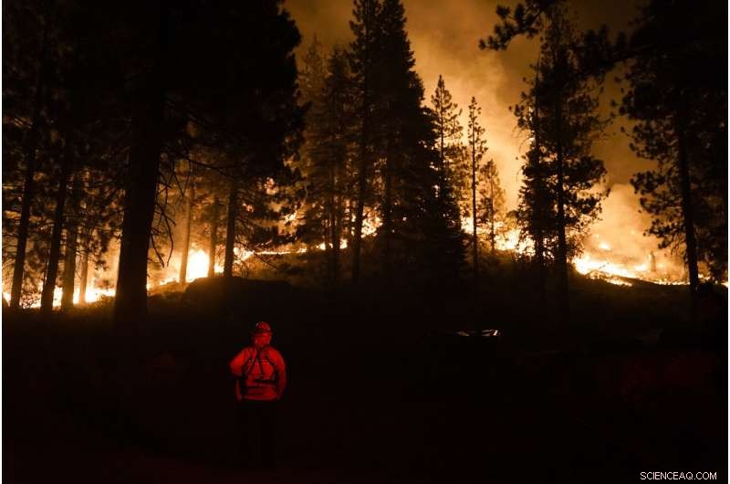 UN Report: Weather Disasters Surge in Frequency and Cost, but Fatalities Decline