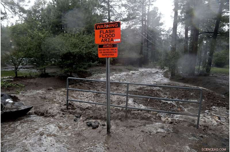 Historic Rainstorms Flood US Southwest, Flagstaff Struggles with Water Damage