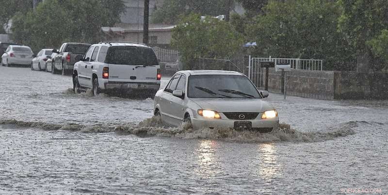 Historic Rainstorms Flood US Southwest, Flagstaff Struggles with Water Damage