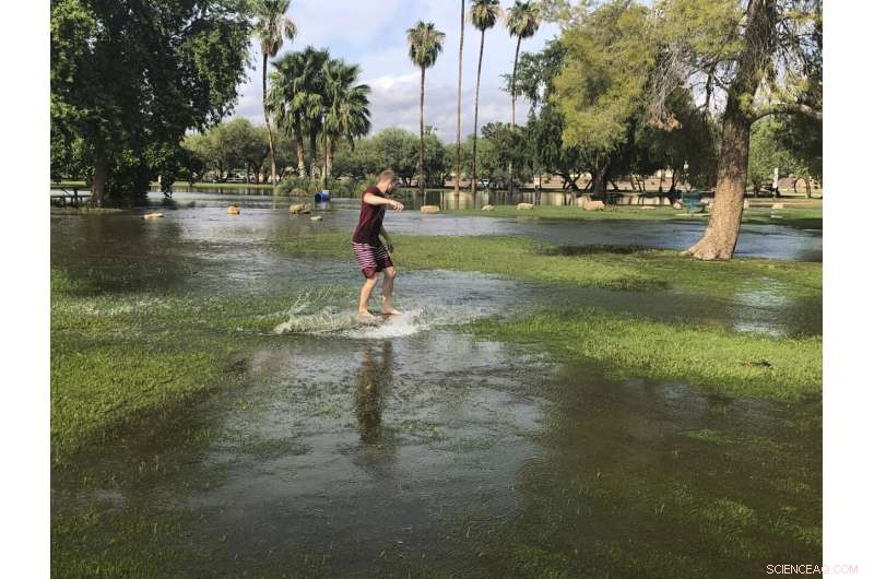 Historic Rainstorms Flood US Southwest, Flagstaff Struggles with Water Damage