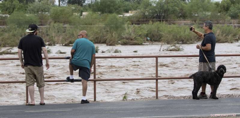 Historic Rainstorms Flood US Southwest, Flagstaff Struggles with Water Damage