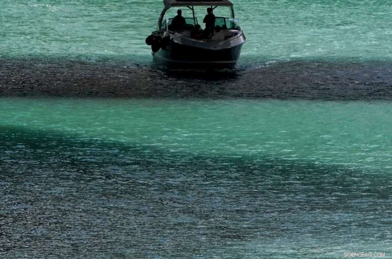Chicago River’s Water Quality Monitored in Real Time by Advanced Sensors