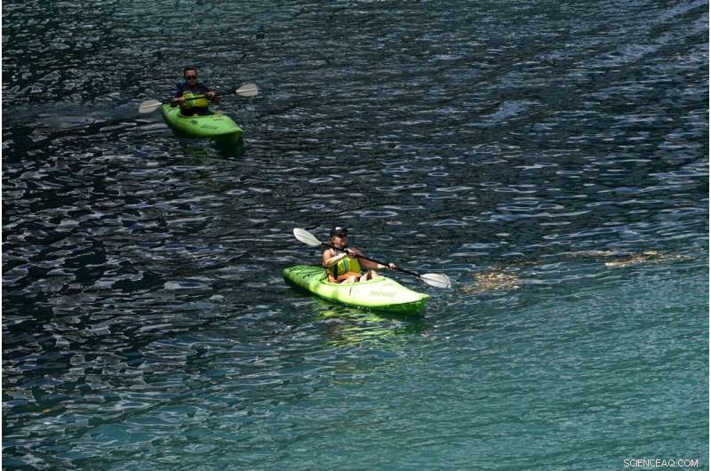 Chicago River’s Water Quality Monitored in Real Time by Advanced Sensors