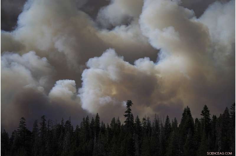 Favorable Winds Bring New Hope in California Wildfire Fight