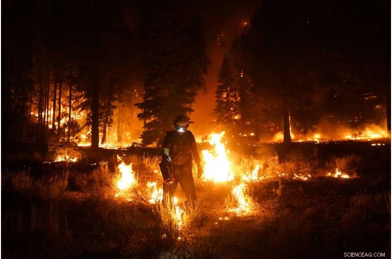 Favorable Winds Bring New Hope in California Wildfire Fight