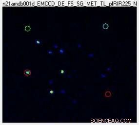 New Light-Based Study Traces the Origin of a Grain of Sand