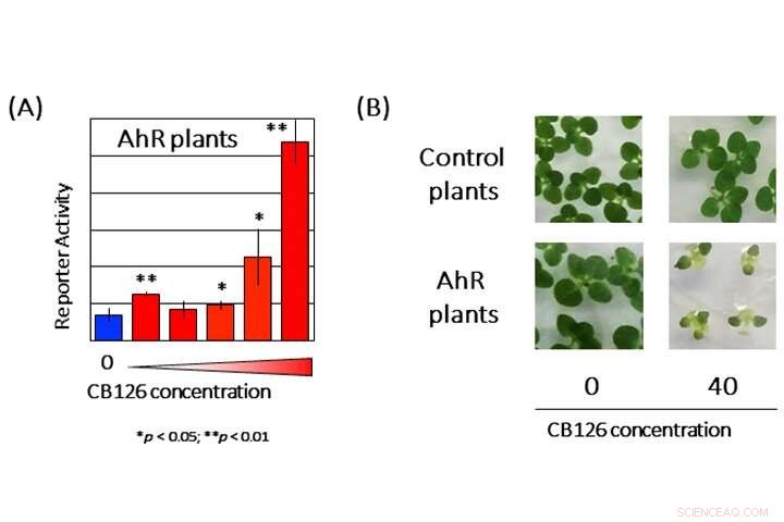 Innovative Plant-Based Sensors Detect Organic Pollutants with Precision