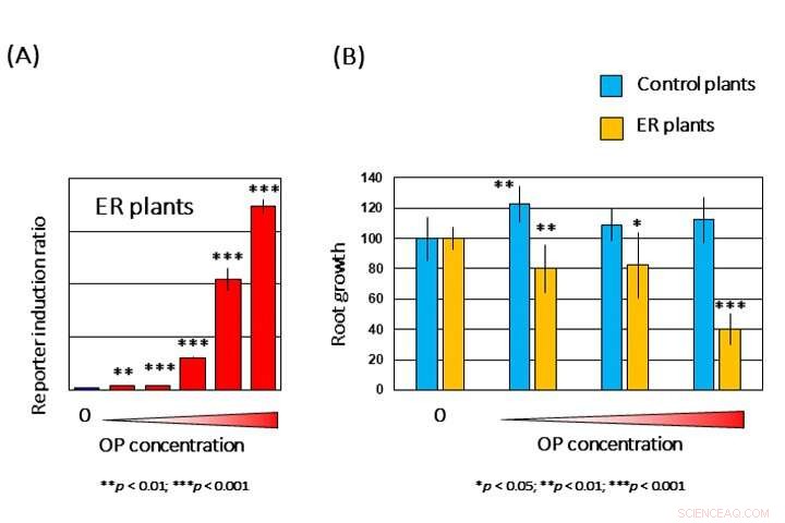 Innovative Plant-Based Sensors Detect Organic Pollutants with Precision