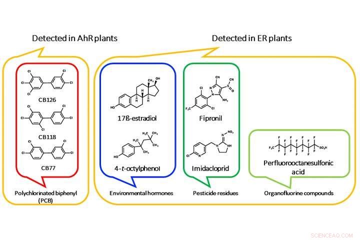 Innovative Plant-Based Sensors Detect Organic Pollutants with Precision