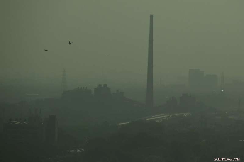 Medical Journals Urge Immediate Climate Action—Pandemic Should Not Delay