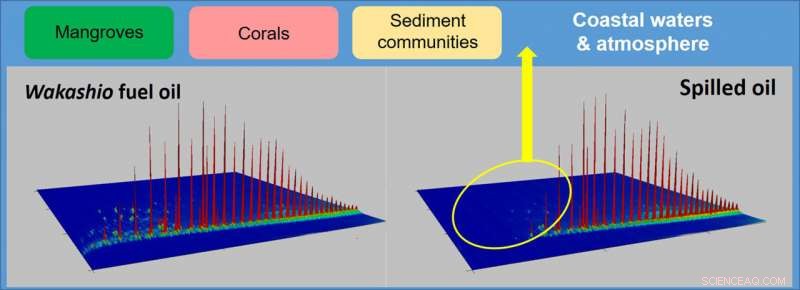 Mauritius Oil Spill: First Major Release of Very Low Sulfur Fuel Oil