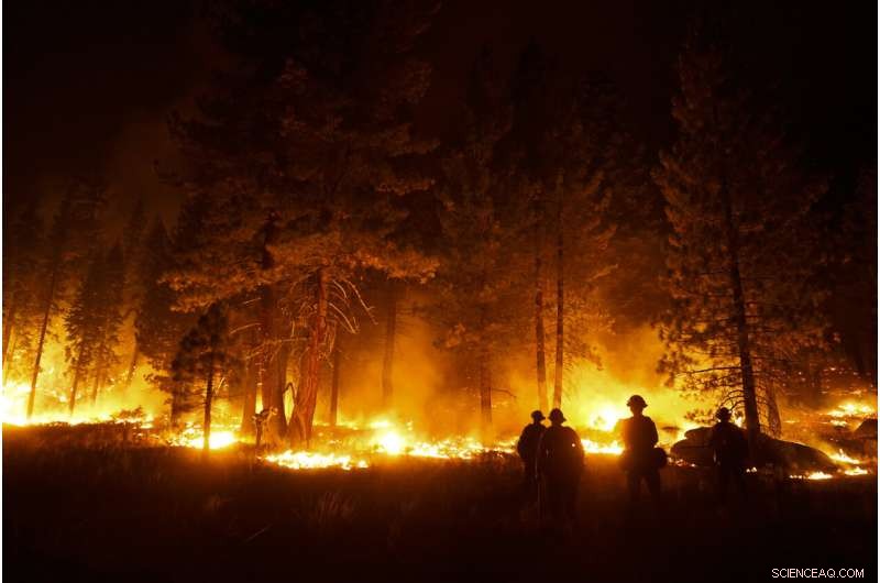 Lake Tahoe Wildfire Nears 50% Containment as Firefighters Continue Efforts