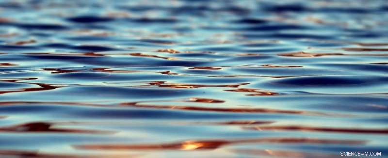 Freshwater Lakes Turn Plastic Debris into Algae Habitat, Study Reveals