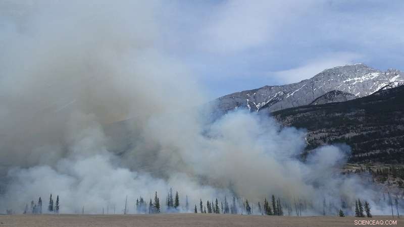 Wildfire Burn Scars Trigger Thunderstorms and Floods: Scientific Insights