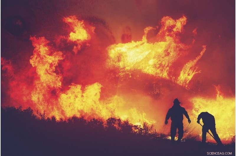 How Firefighter Roles Affect Exposure to Wildfire Smoke Compounds