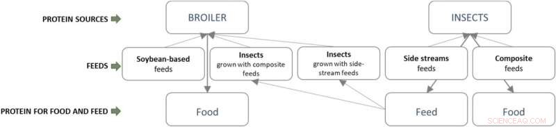 Insect Protein: A Powerful Solution to Lower European Carbon Footprints